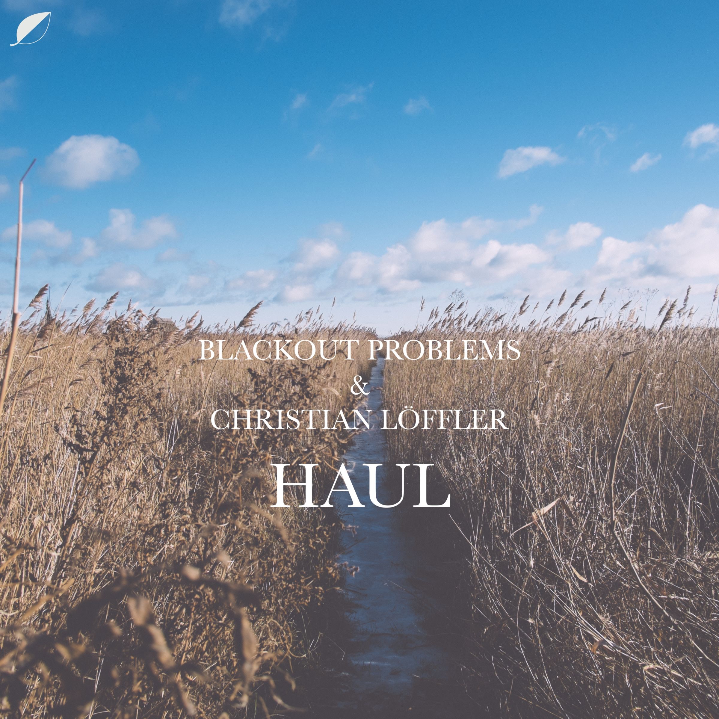 Haul - Single album cover
