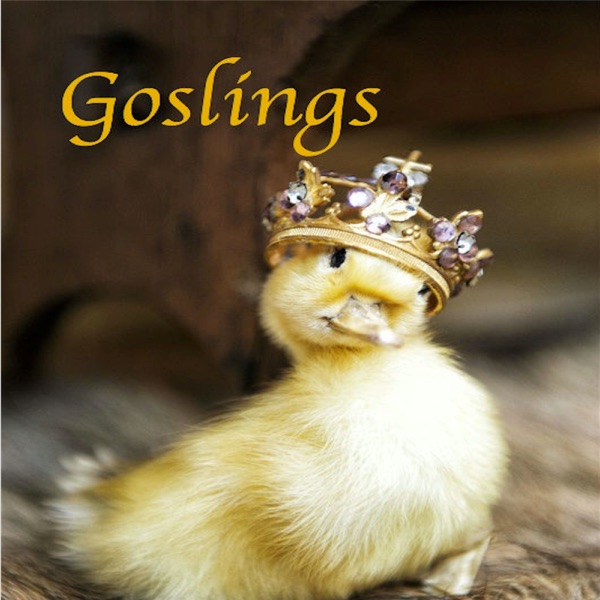 Goslings (Diss Track on Niñoz) [feat. Quanny Smoove & Scout] - Single album cover