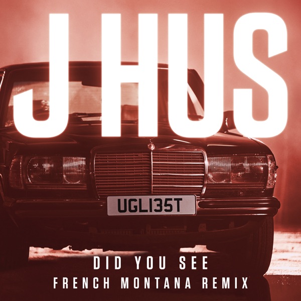 Did You See (French Montana Remix) - Single album cover
