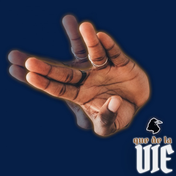 Que de la vie - Single album cover