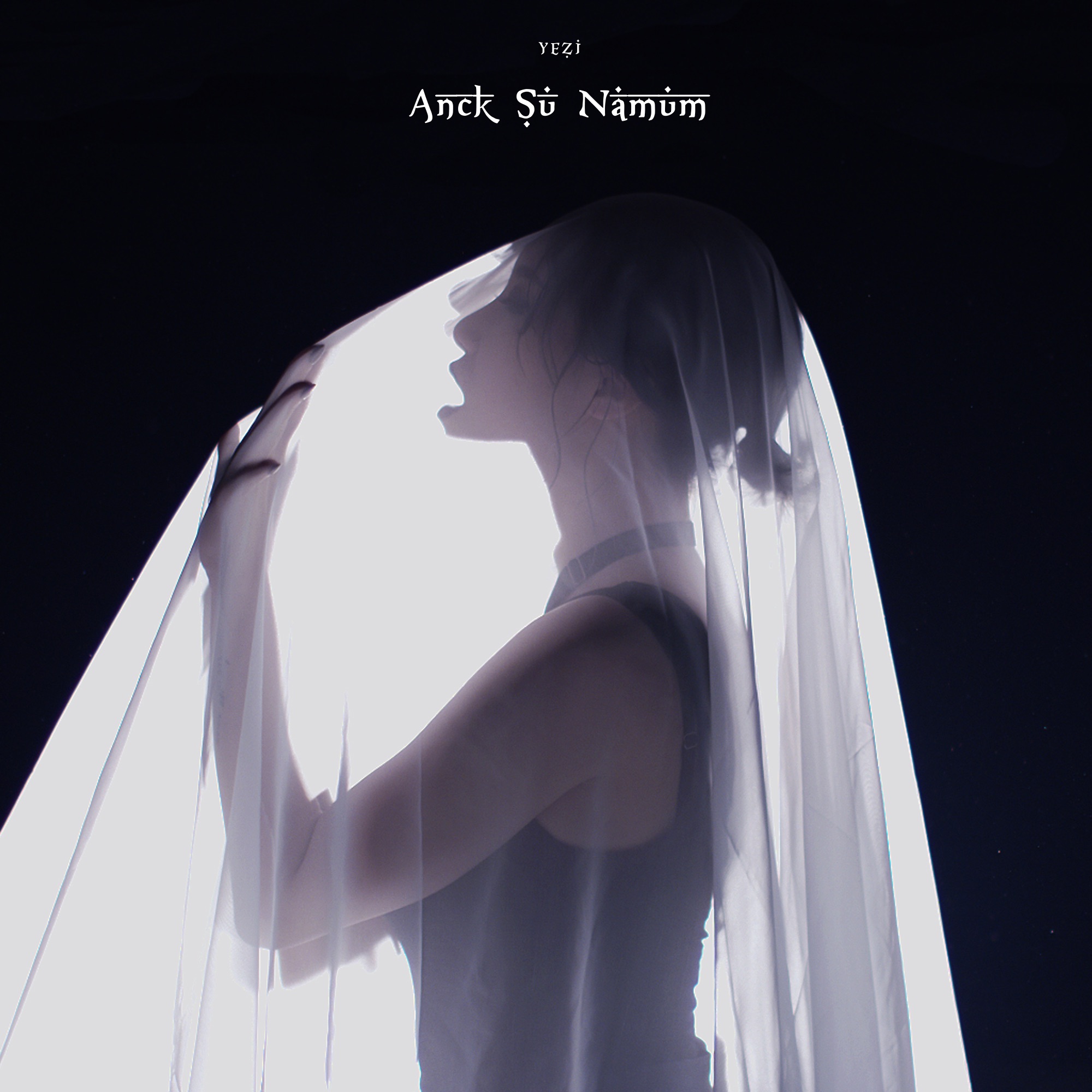 Anck Su Namum - Single album cover