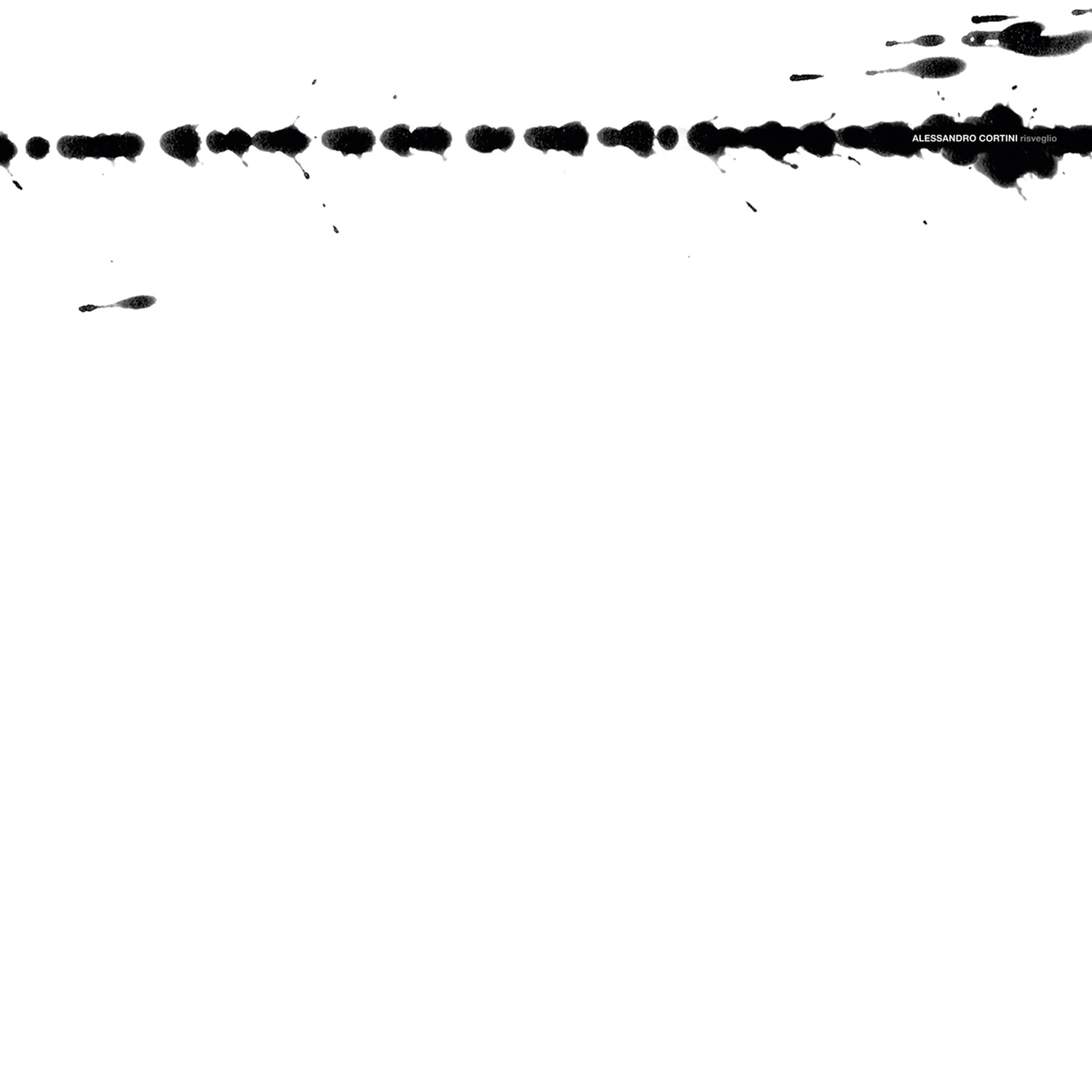 Risveglio album cover