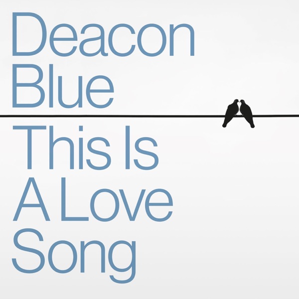 This Is a Love Song - Single album cover