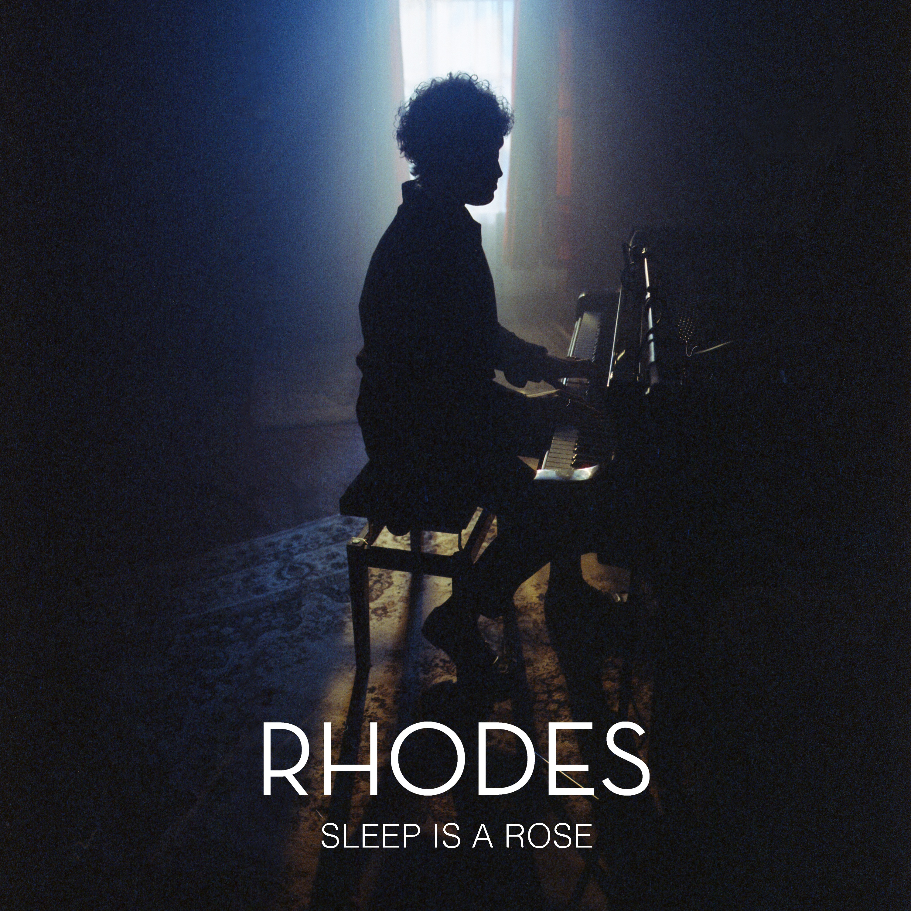 Sleep Is a Rose - Single album cover