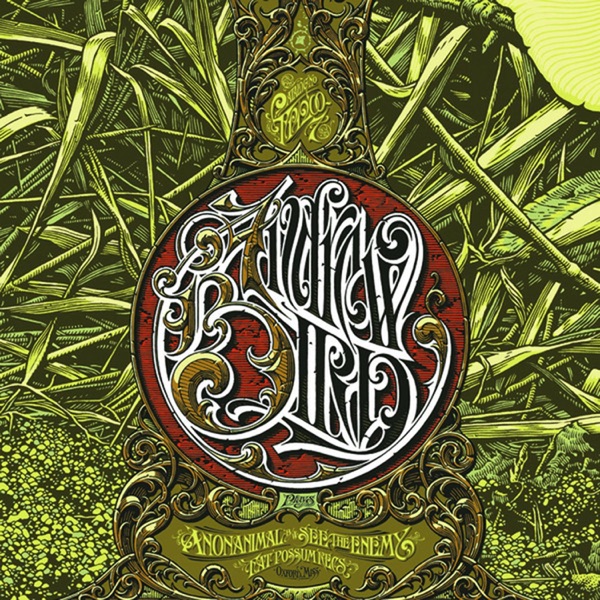 Anonanimal / See the Enemy - Single album cover