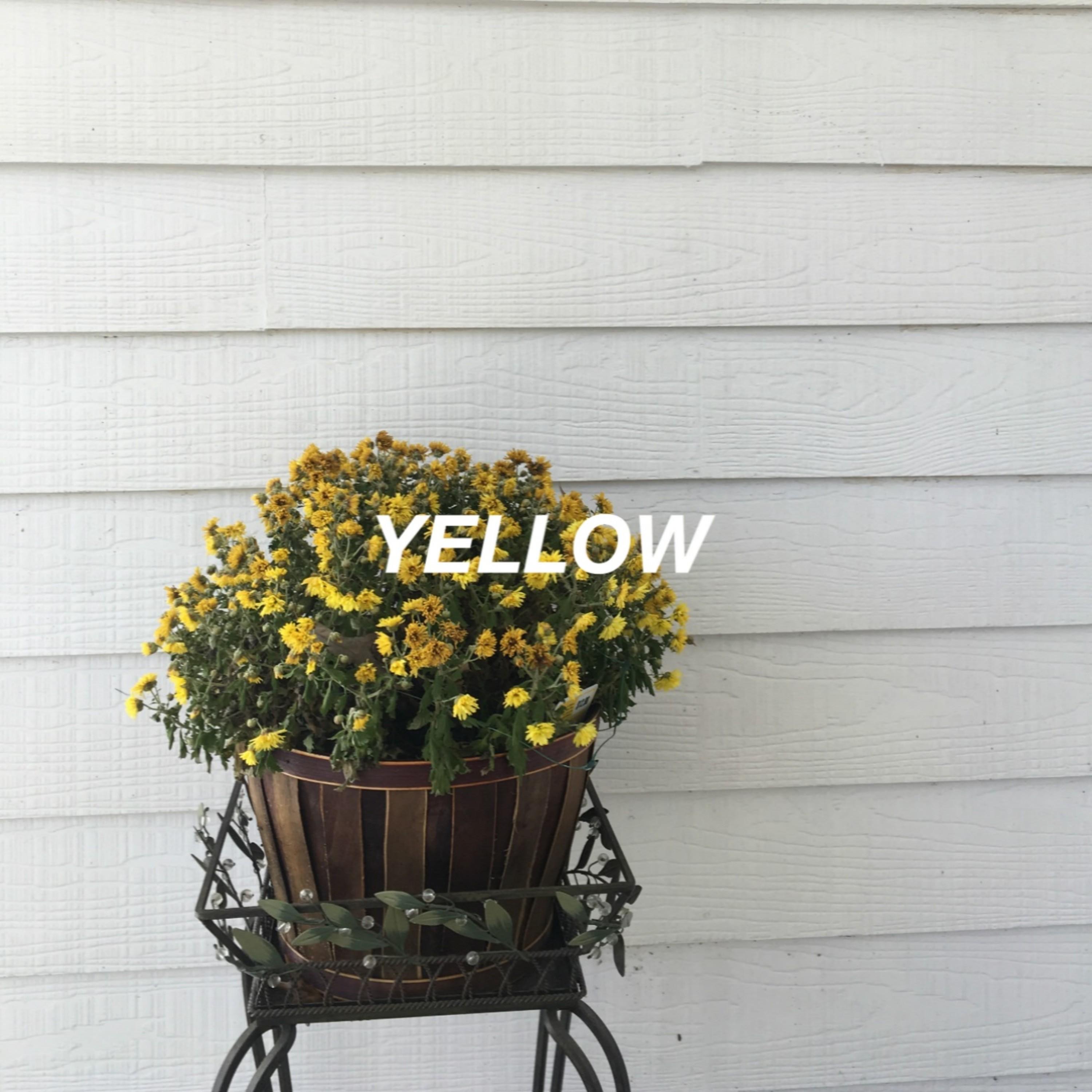 Yellow - Single album cover