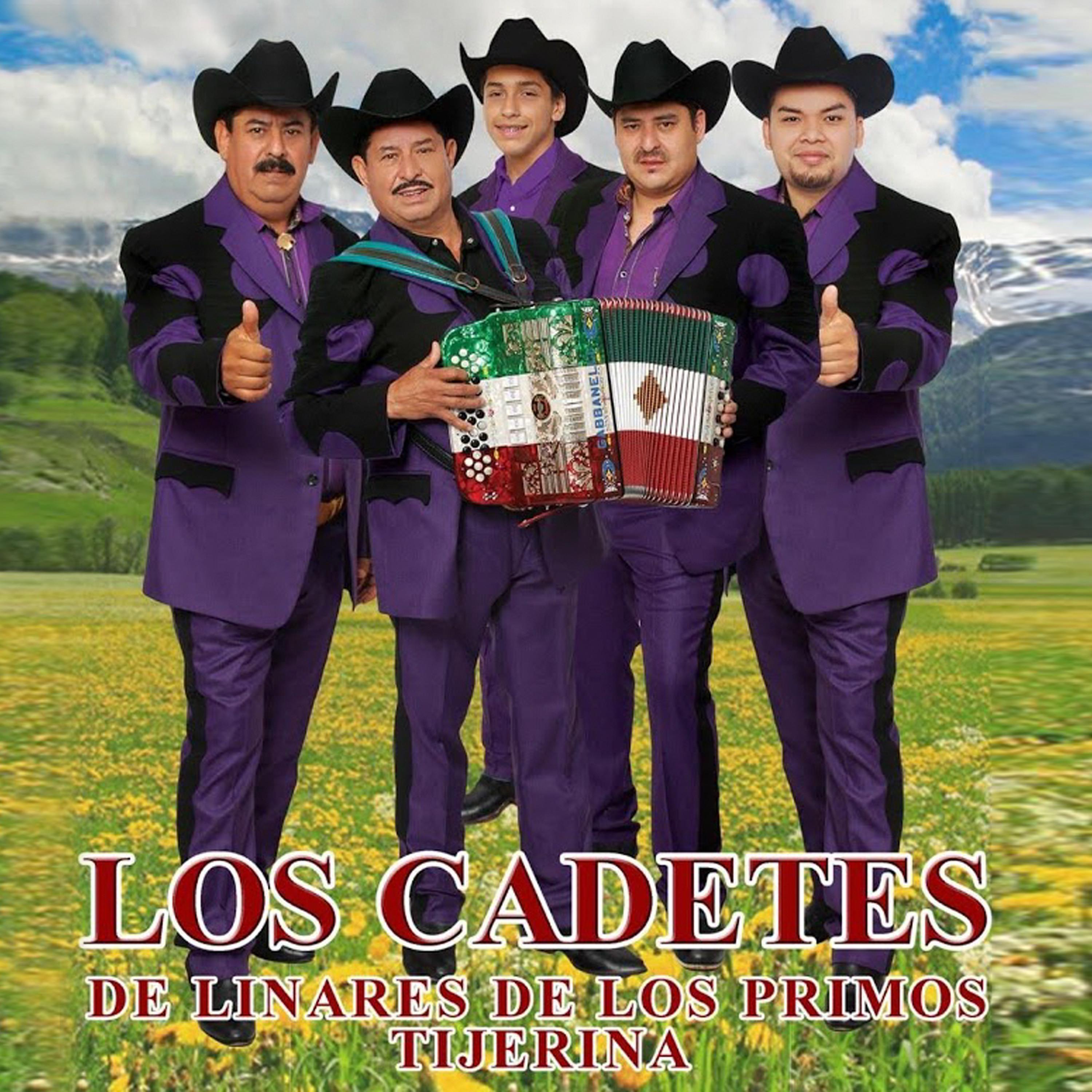 Recapturaron Al Chapo - Single album cover