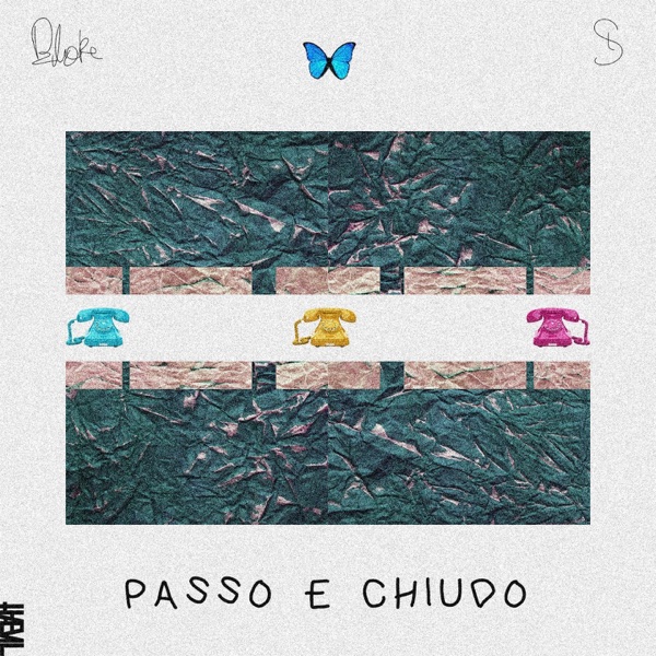 Passo e chiudo (feat. Tha Supreme) - Single album cover