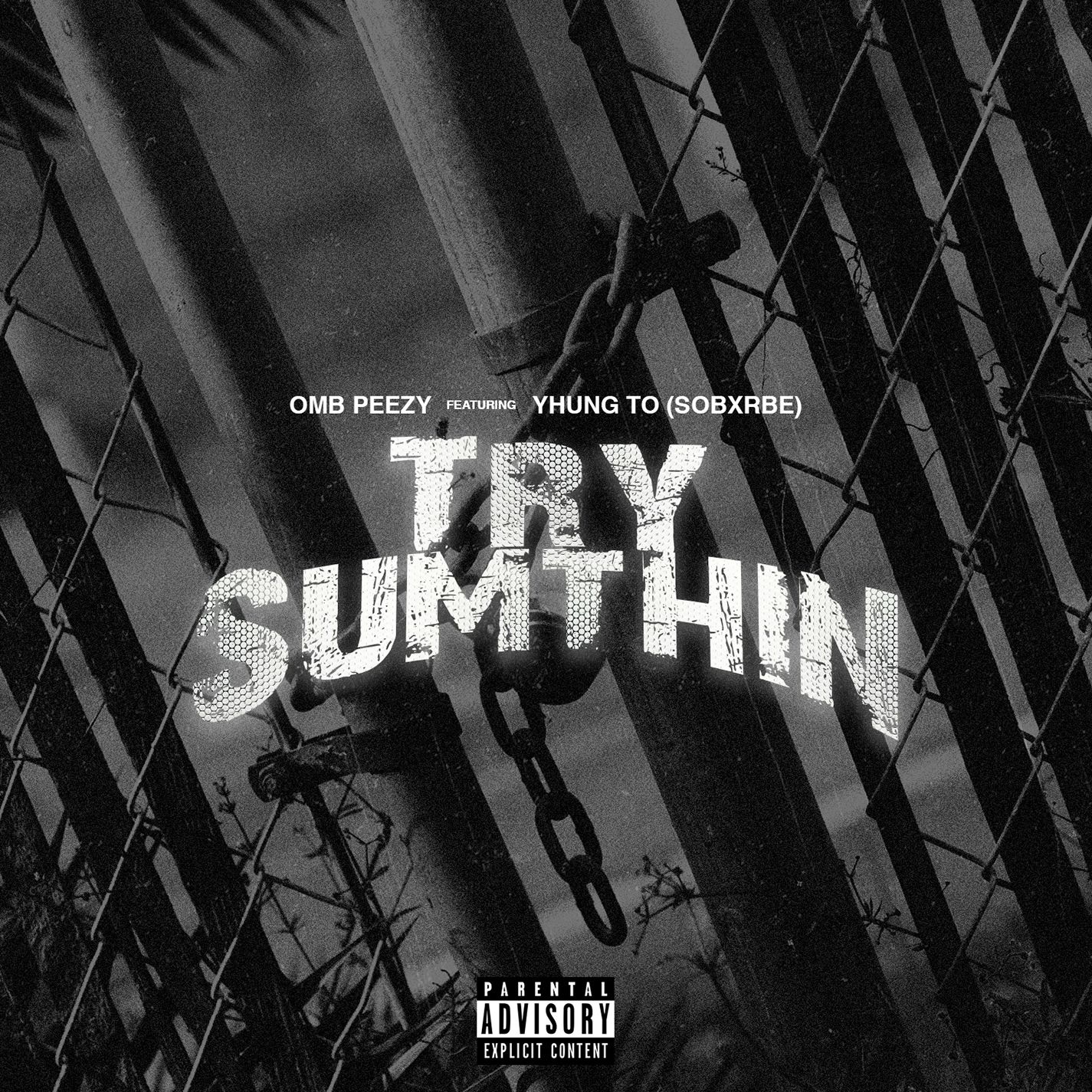 Try Sumthin (feat. Yhung To) - Single album cover