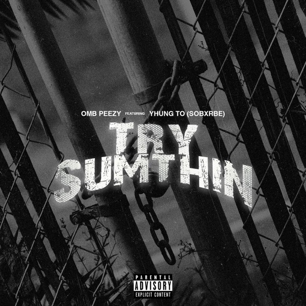 Try Sumthin (feat. Yhung To) - Single album cover