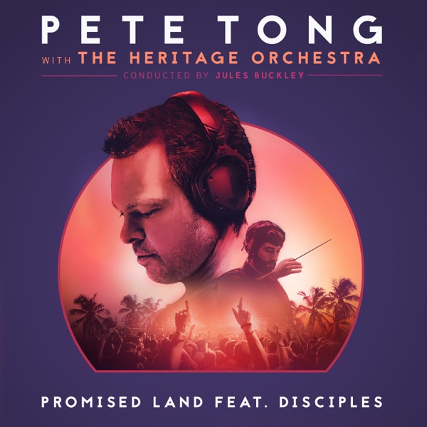Promised Land (feat. Disciples) - Single album cover