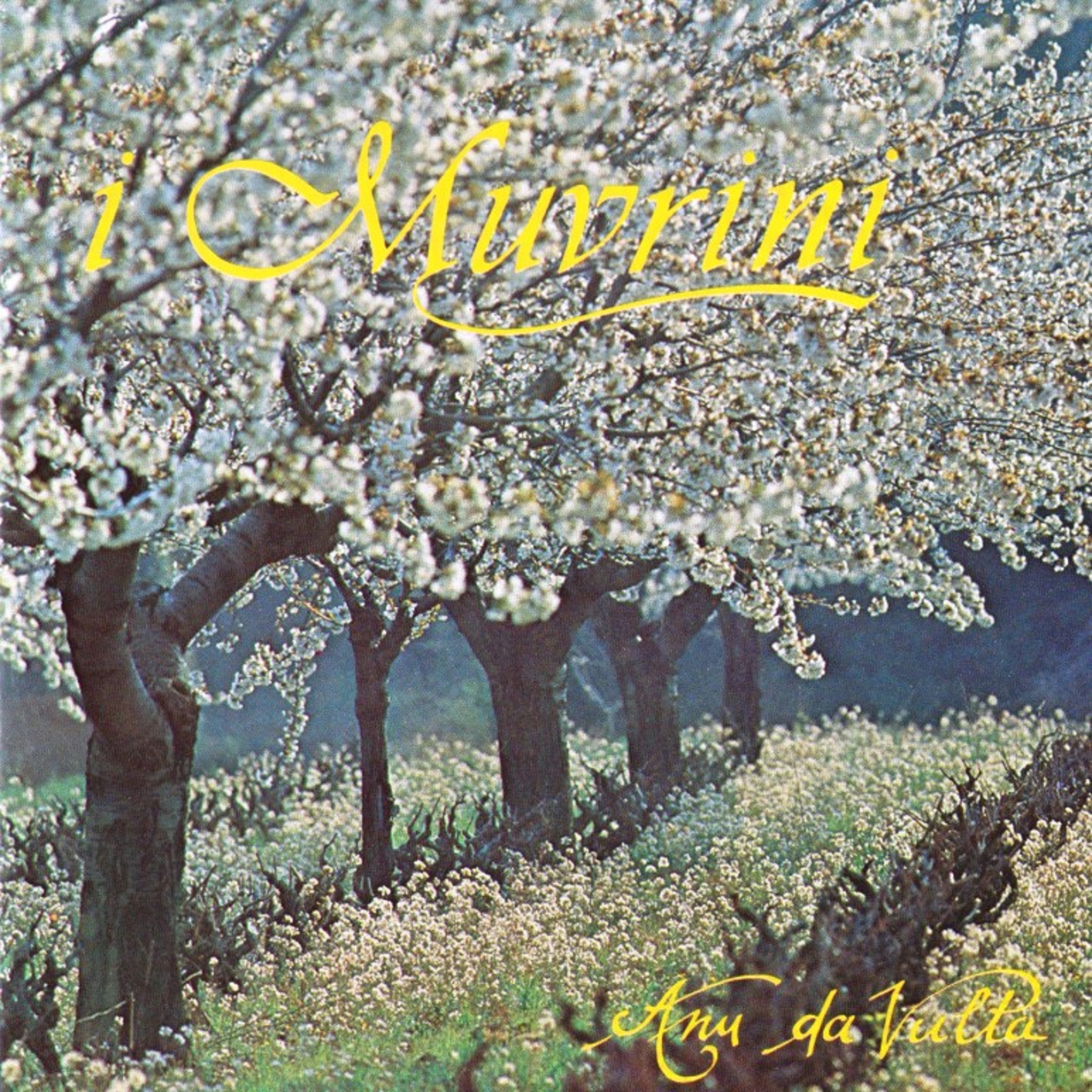 Anu da vulta album cover