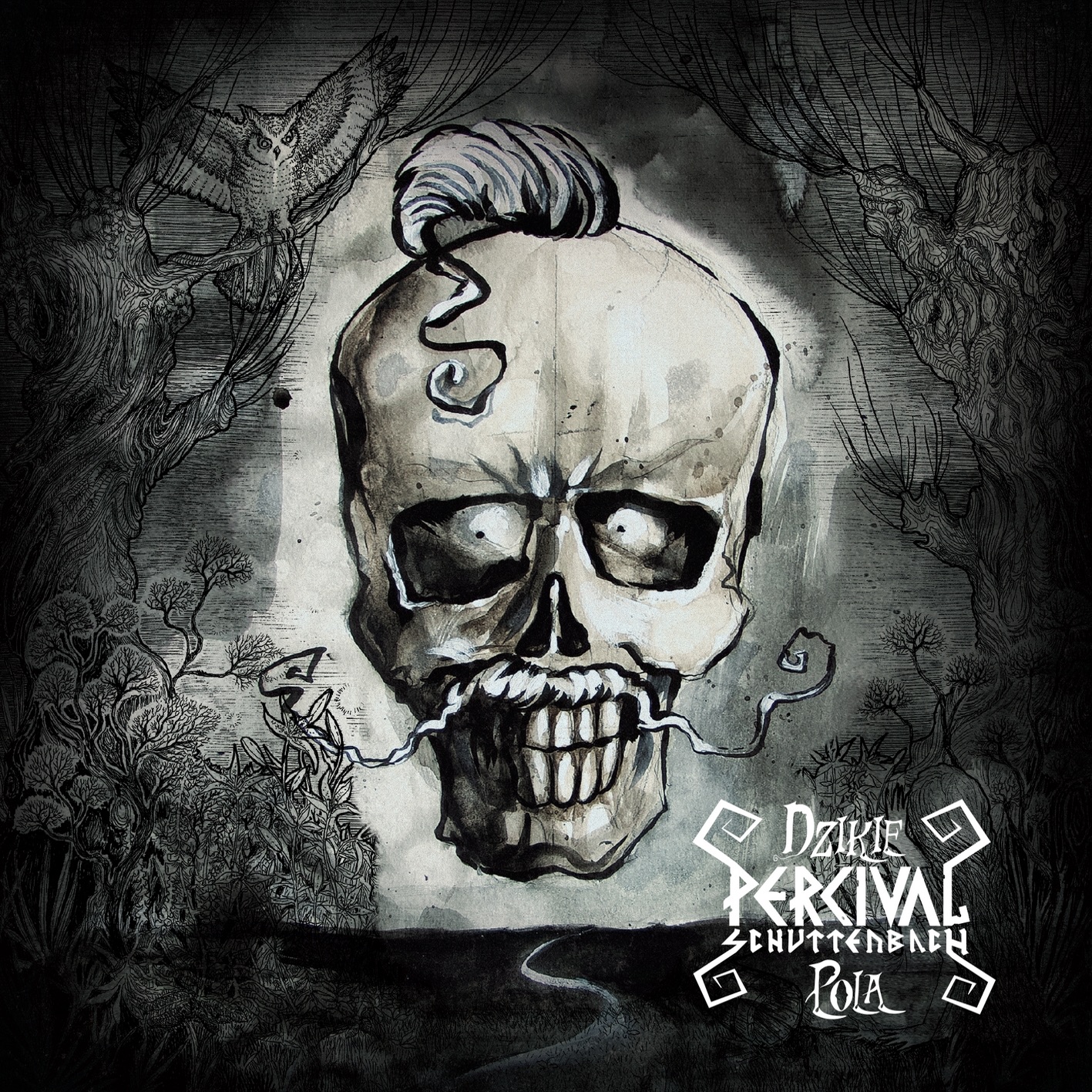 Dzikie Pola album cover