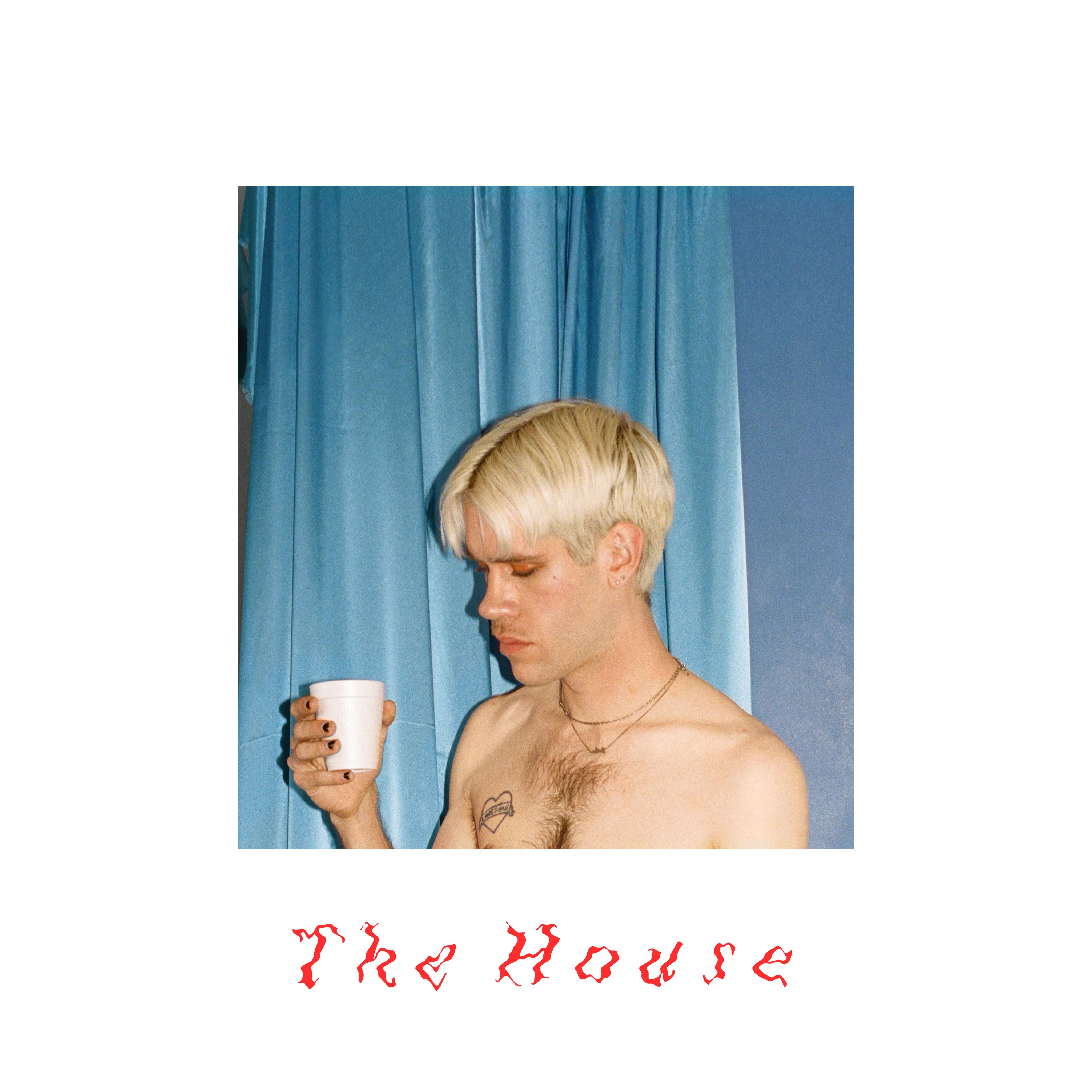 The House album cover