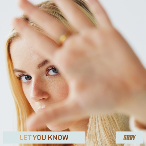 Let You Know - Single album cover