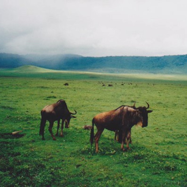 Episode I - Single album cover