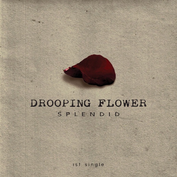 Drooping Flower - Single album cover