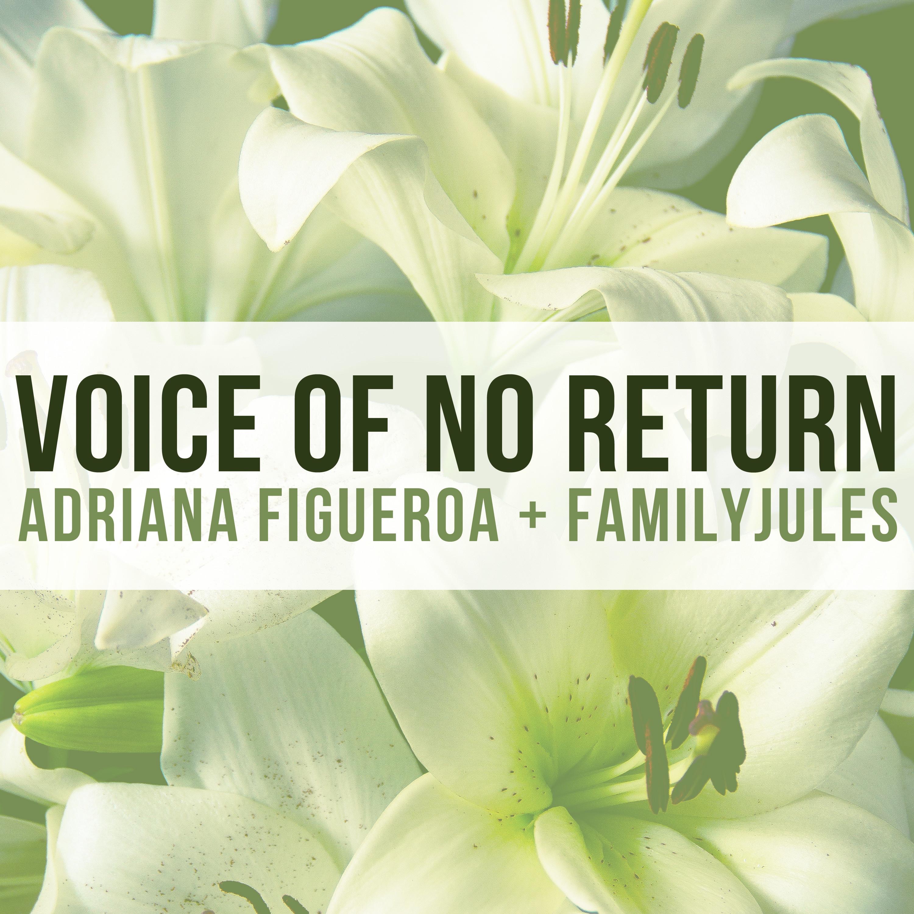 Voice of No Return (feat. FamilyJules) - Single album cover
