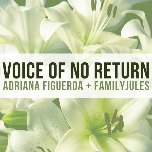 Voice of No Return (feat. FamilyJules) - Single album cover