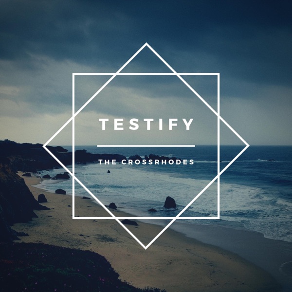 Testify (feat. Awthentik, Wes Felton & Raheem DeVaughn) - Single album cover