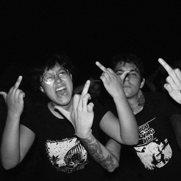 100% / Joyce Manor Split - Single album cover