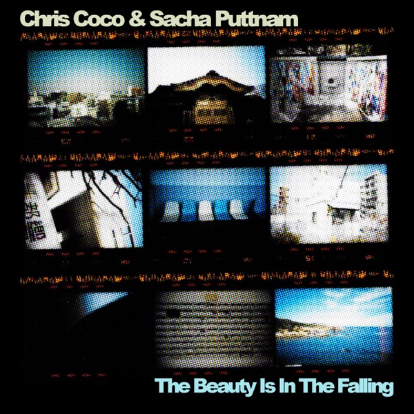 The Beauty Is In the Falling - Single album cover