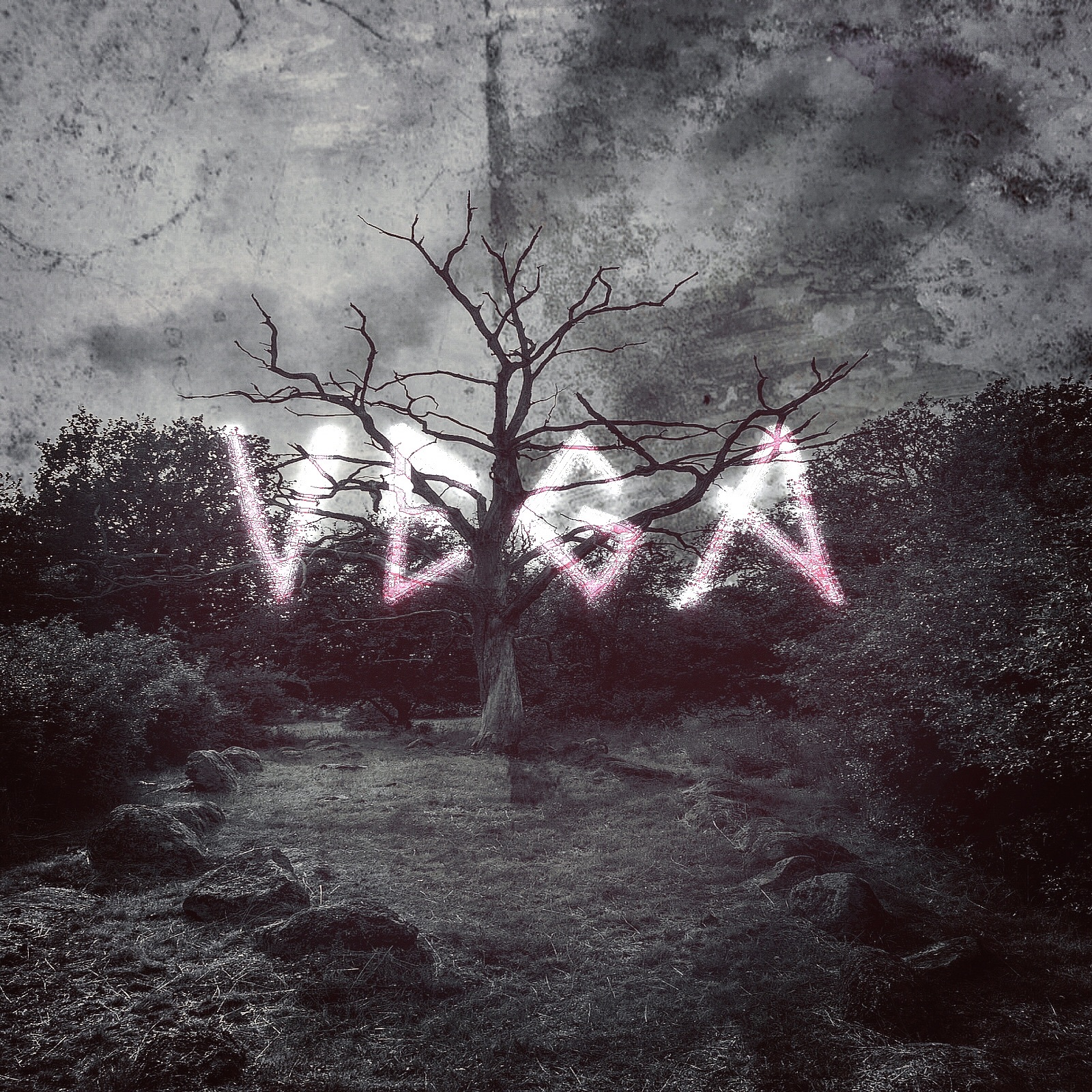 Vega - Single album cover