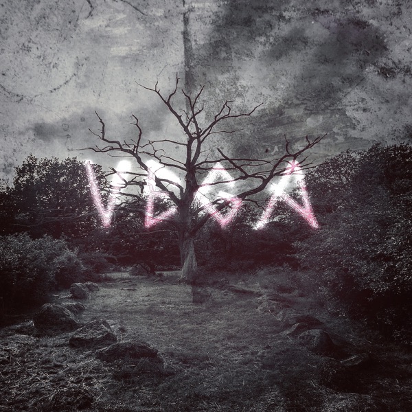 Vega - Single album cover