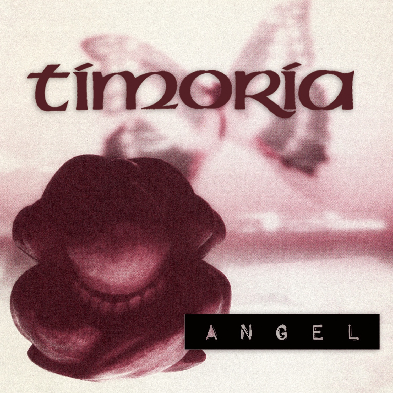 Angel - Single album cover