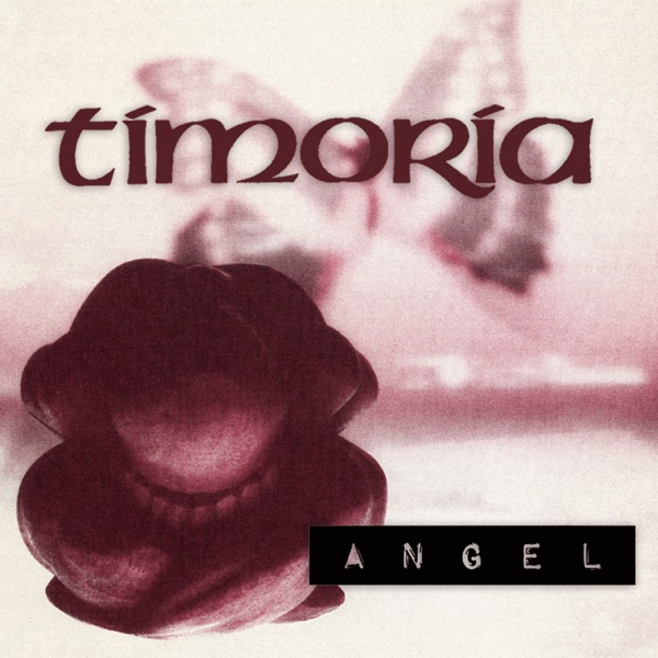 Angel - Single album cover