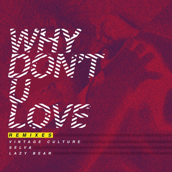 Why Don't U Love (Remixes) - Single album cover