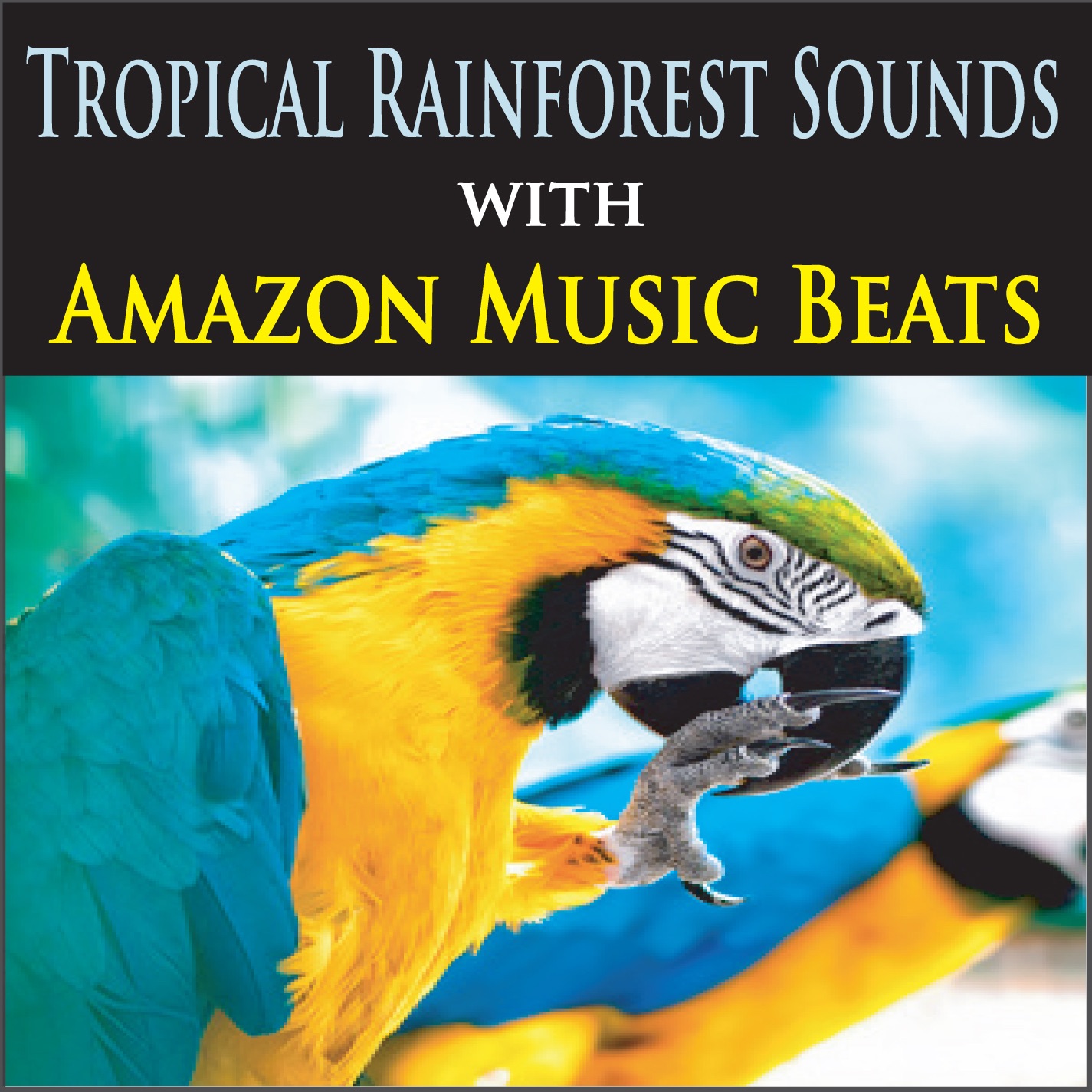 Tropical Rainforest Sounds with Amazon Music Beats album cover