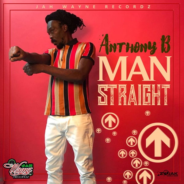 Man Straight - Single album cover