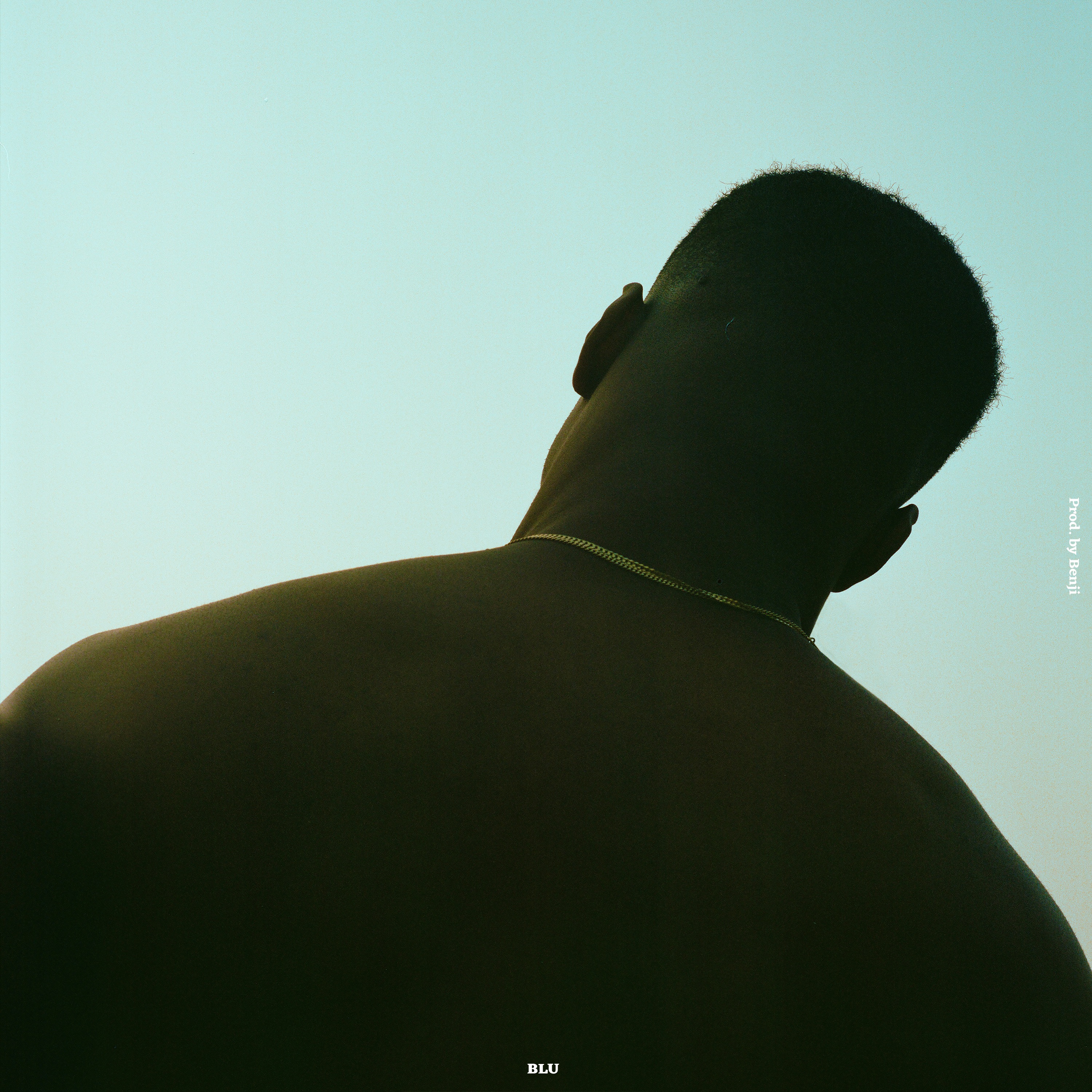 Blu - Single album cover