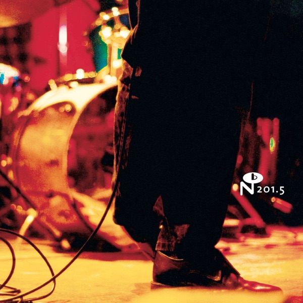 What About the Lonely? album cover