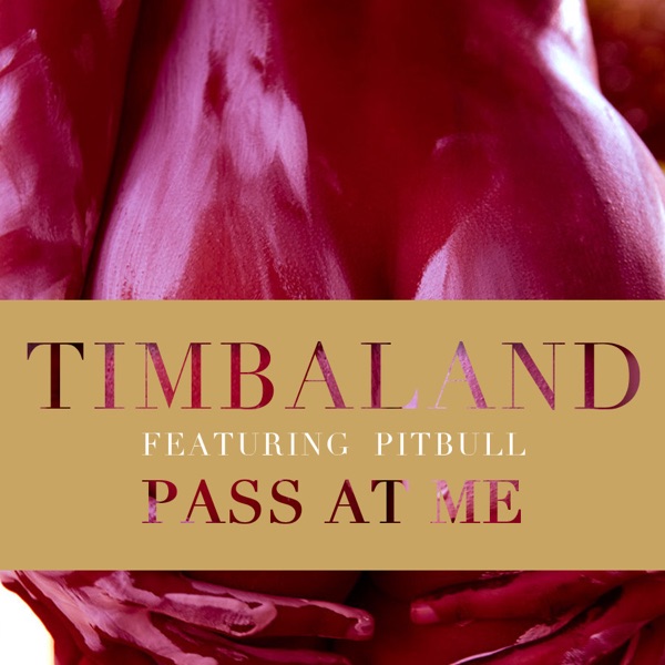Pass At Me (feat. Pitbull) - Single album cover