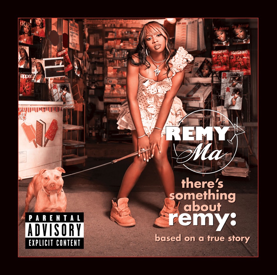 There's Something About Remy: Based On a True Story - Single album cover