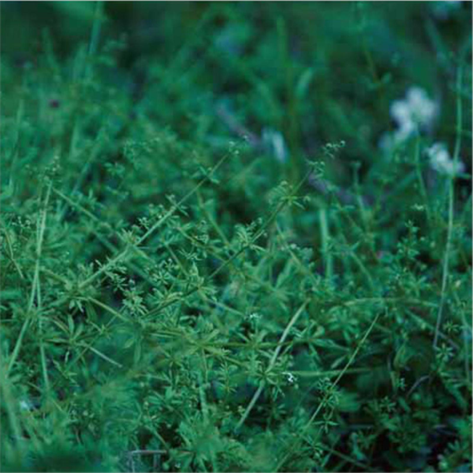 Clepsydra album cover