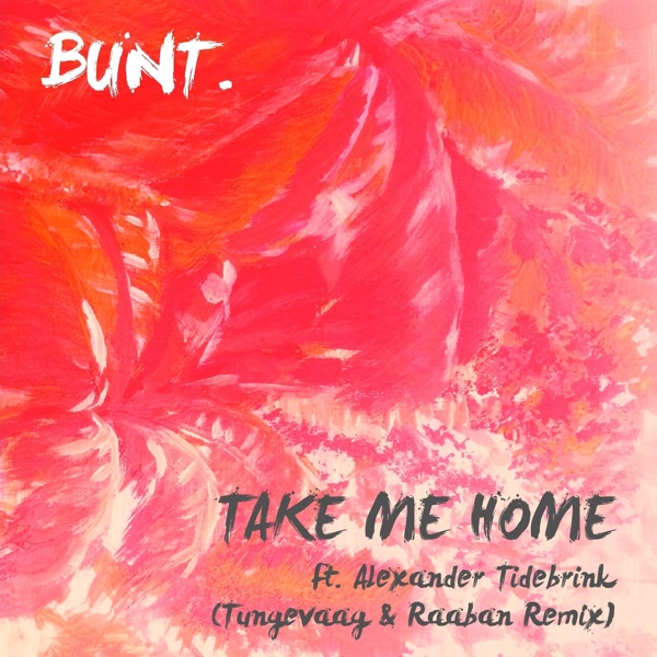 Take Me Home (Tungevaag & Raaban Remix) [feat. Alexander Tidebrink] - Single album cover