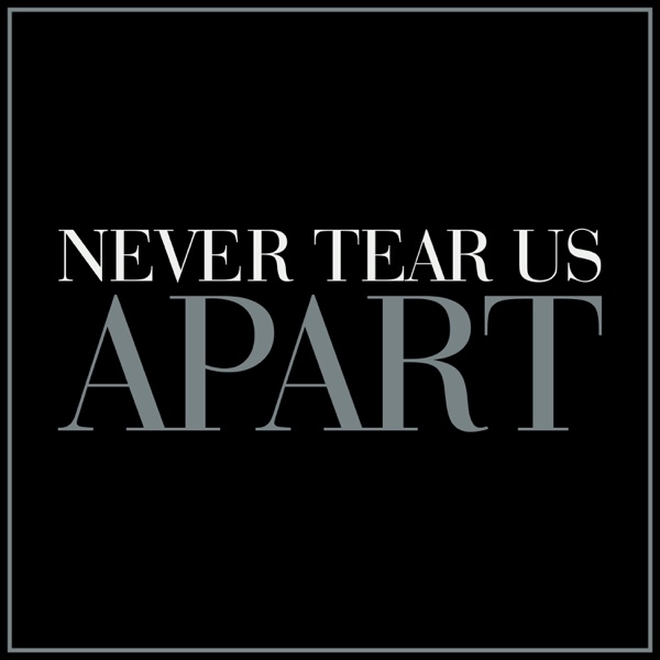 Never Tear Us Apart (Female Version) - Single album cover