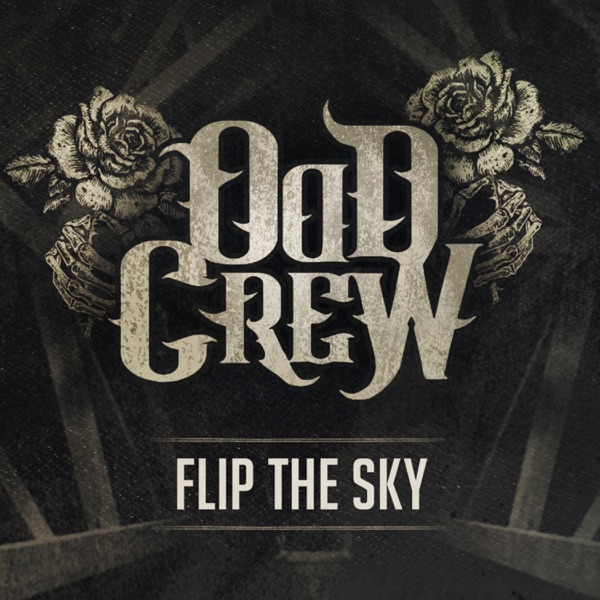 Flip the Sky - Single album cover