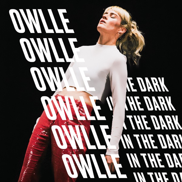 In The Dark - Single album cover