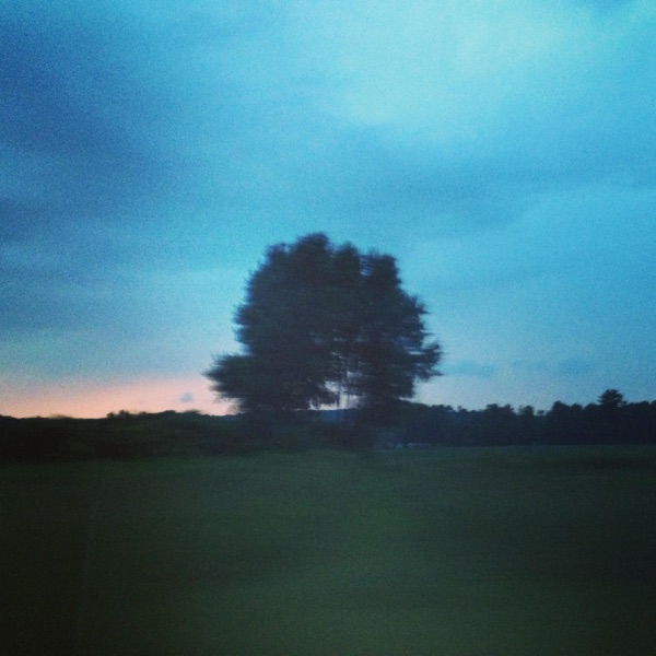 Week 66: We'll Be Friends - Single album cover