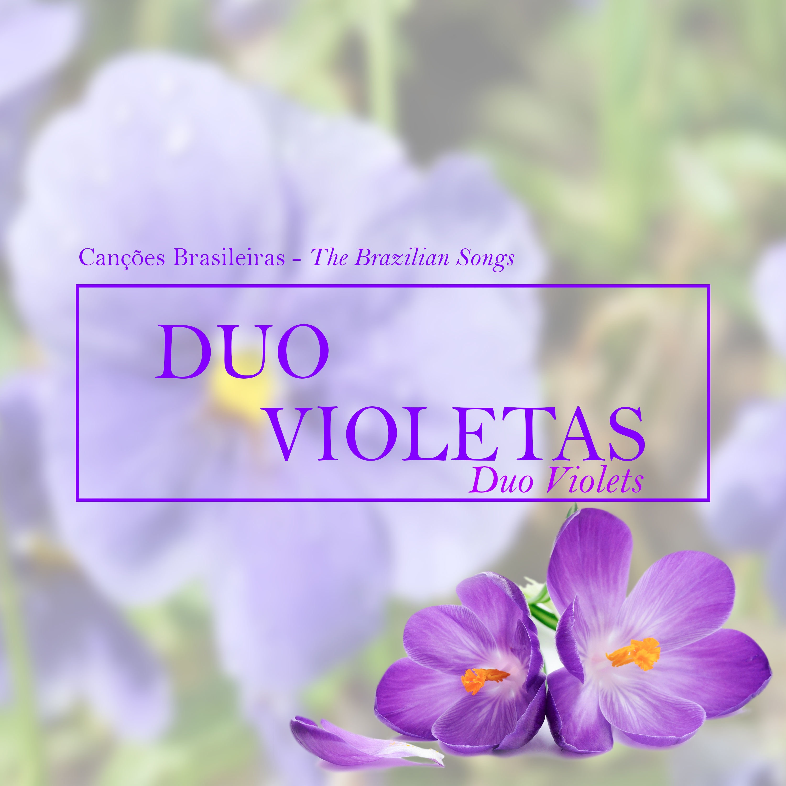 Canções Brasileiras album cover