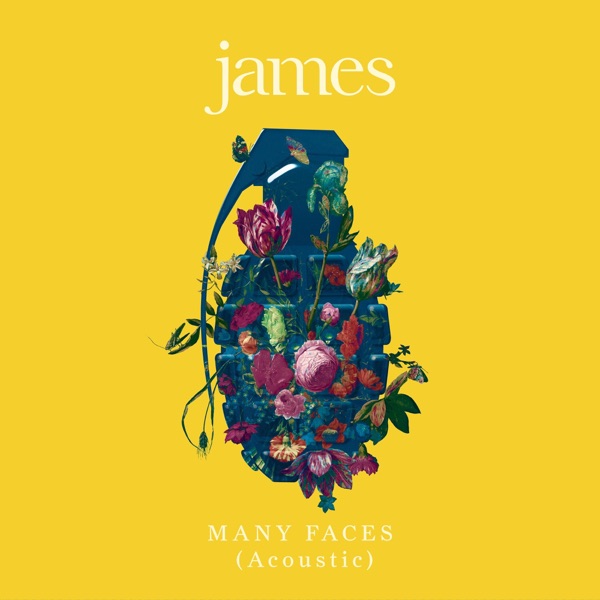 Many Faces (Acoustic) - Single album cover
