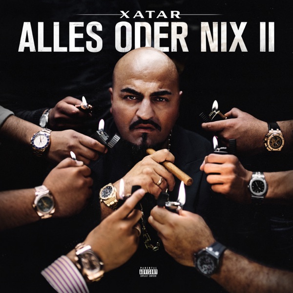 Alles oder Nix II album cover