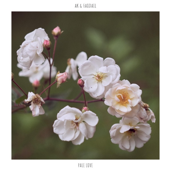 Pale Love - Single album cover