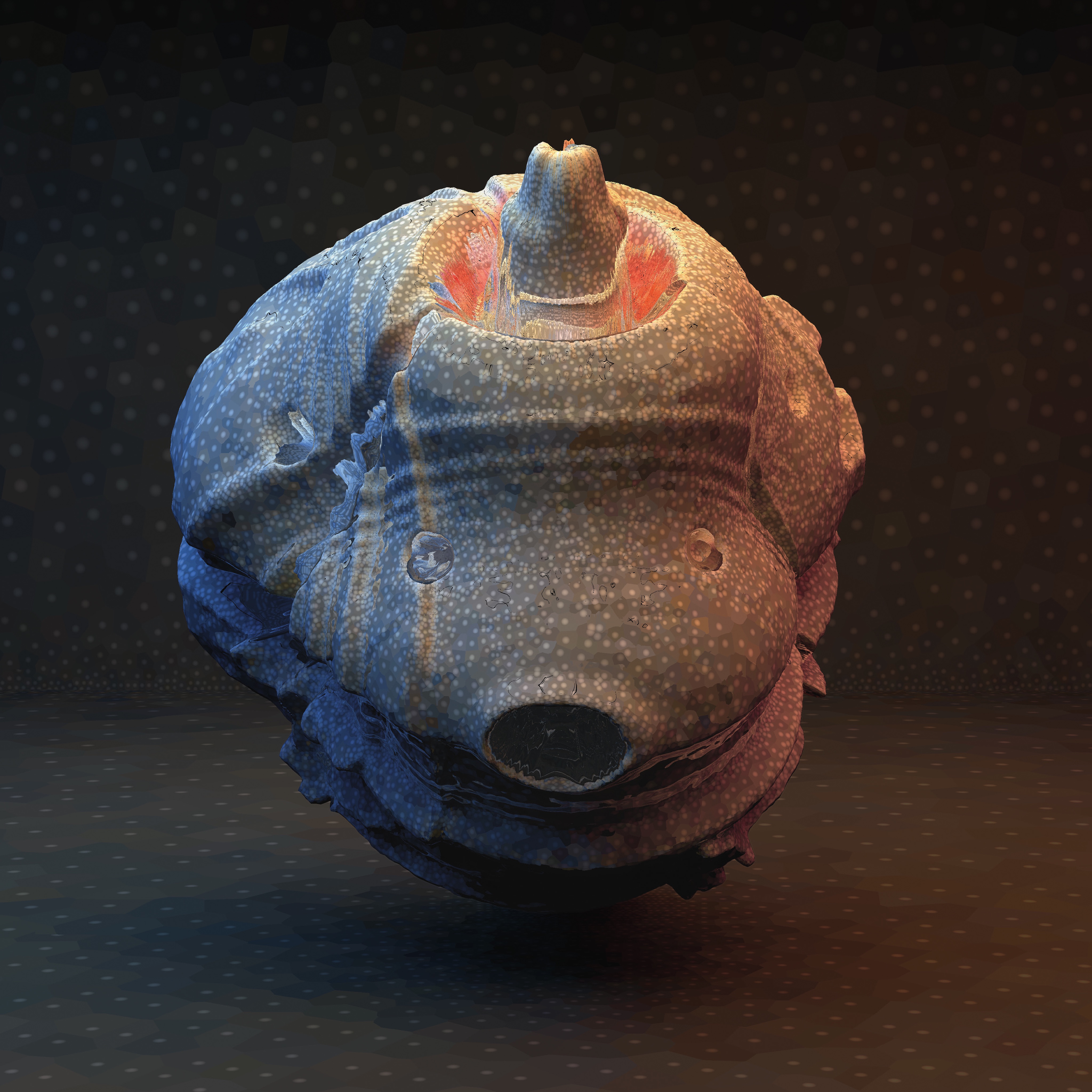 So Much / Human Touch - Single album cover