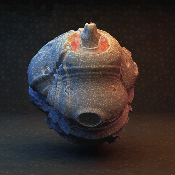 So Much / Human Touch - Single album cover