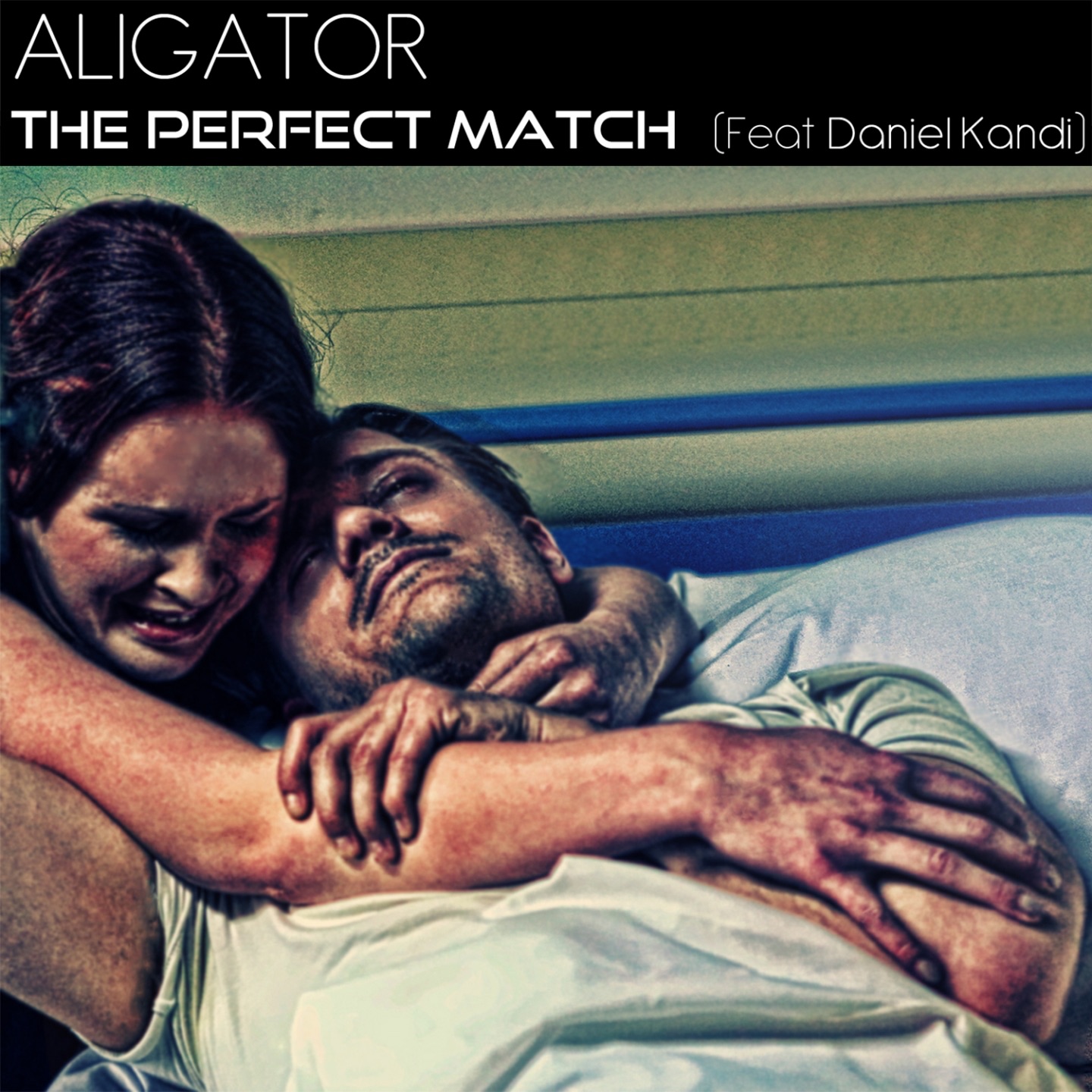 The Perfect Match (feat. Daniel Kandi) album cover